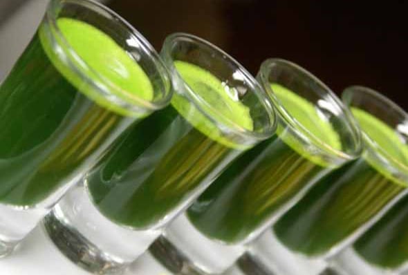 Phyto Shots