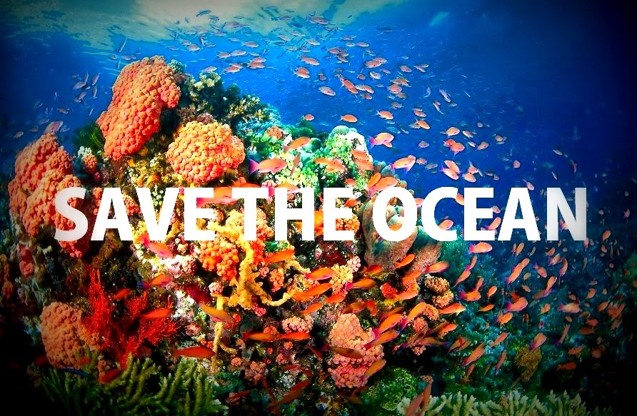 Protect Our Oceans – Eat Algae Not Fish!